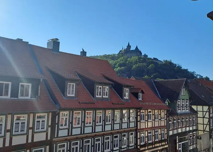 公寓 Ferienwohnung-erna 韦尼格罗德